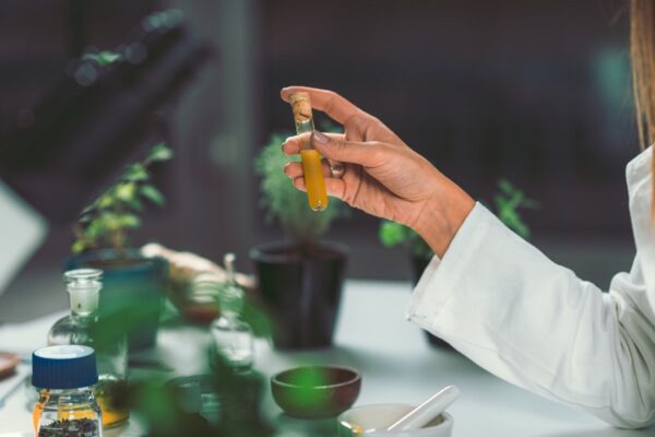 Are Naturopaths Real Doctors?