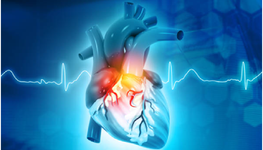 Normal Vs Dangerous Heart Rate