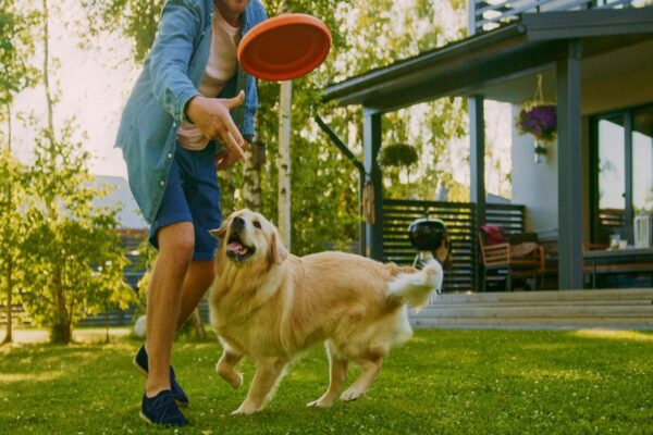 How Pooper Scooper Services Contribute to Cleaner and Greener Communities