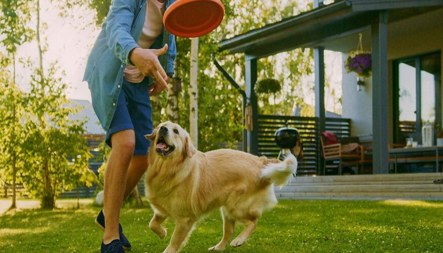 dog poop pickup service Henderson