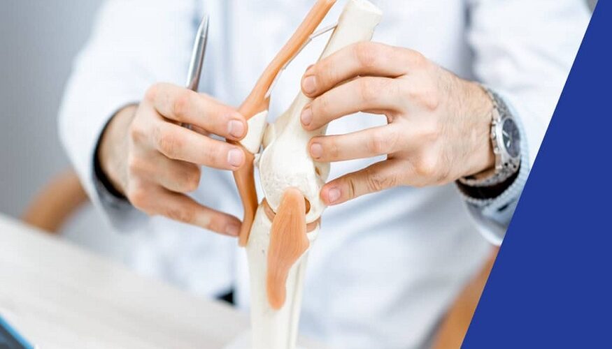 Allografts are tissues,