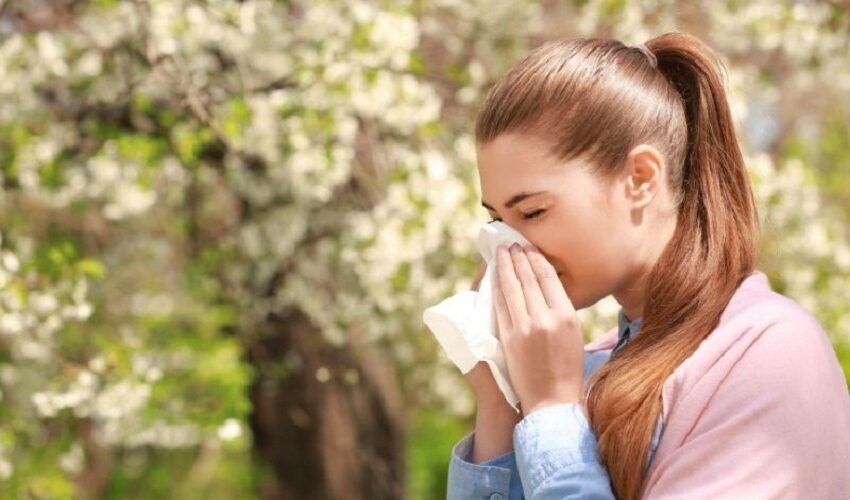 allergy consultants